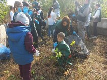 Курск очистил улицы: городской субботник к Дню чистоты